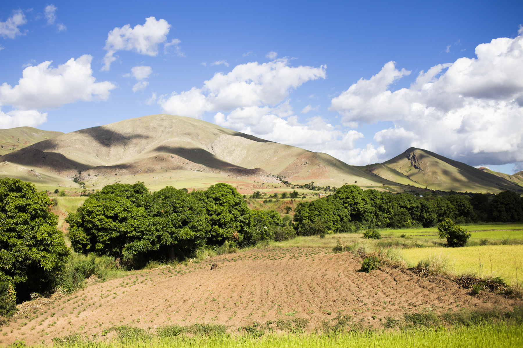 Madagaskar_8177